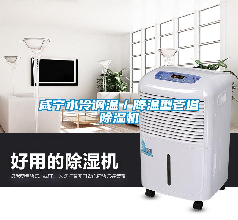 咸寧水冷調溫/降溫型管道除濕機