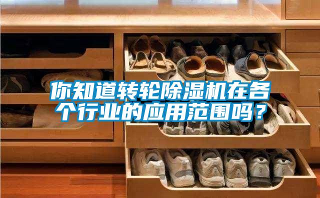 你知道轉(zhuǎn)輪除濕機在各個行業(yè)的應(yīng)用范圍嗎?