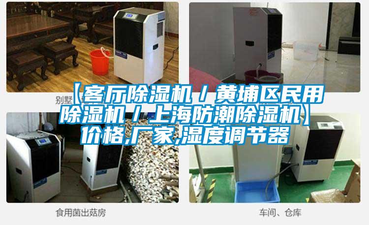 【客廳除濕機／黃埔區(qū)民用除濕機／上海防潮除濕機】價格,廠家,濕度調節(jié)器