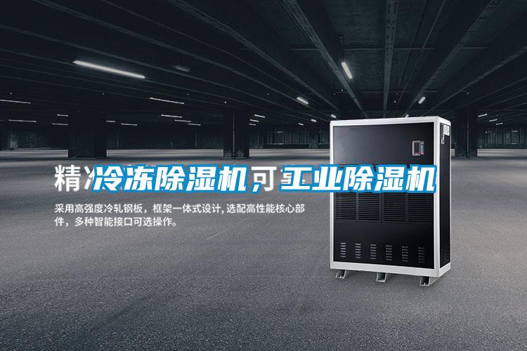 冷凍除濕機，工業(yè)除濕機