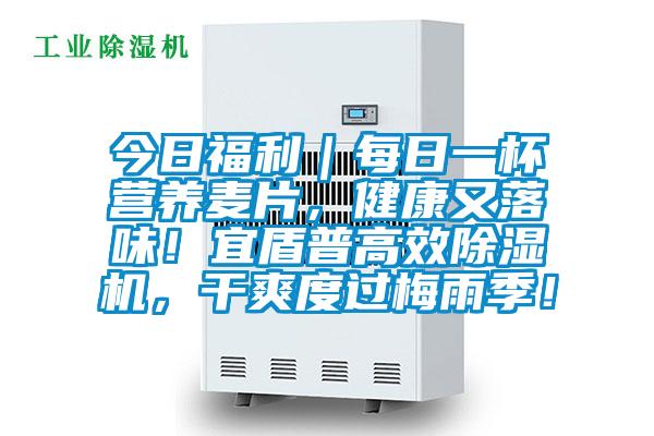 今日福利|每日一杯營養麥片,健康又落味!宜盾普高效除濕機,干爽度過梅雨季!