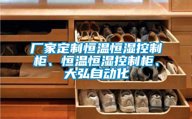 廠家定制恒溫恒濕控制柜、恒溫恒濕控制柜、大弘自動化