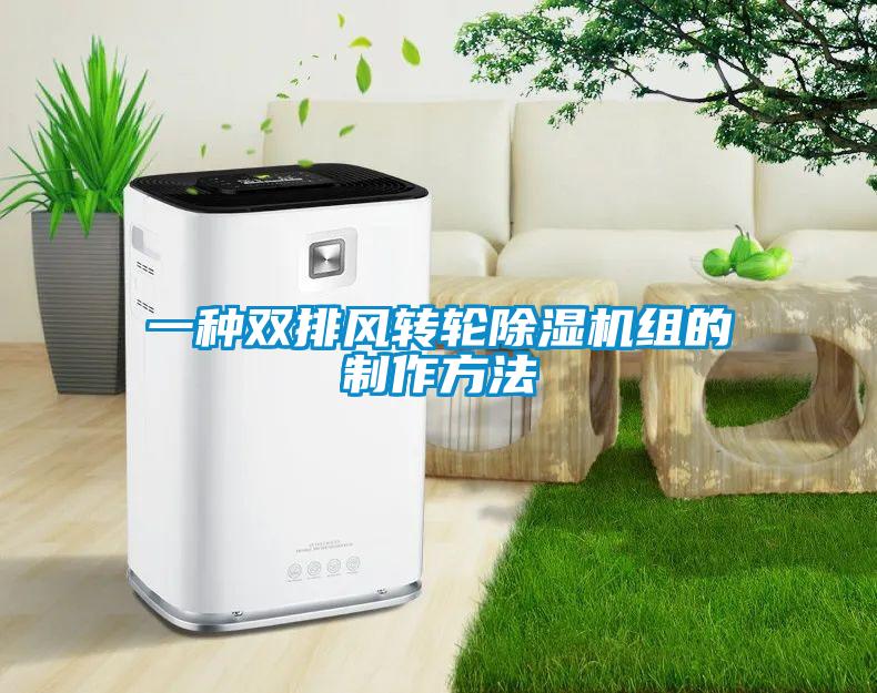 一種雙排風(fēng)轉(zhuǎn)輪除濕機(jī)組的制作方法