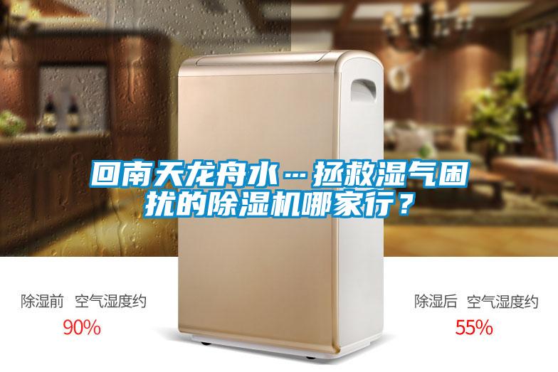 回南天龍舟水…拯救濕氣困擾的除濕機哪家行？