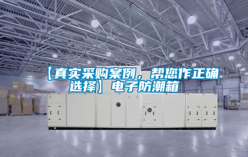 【真實(shí)采購(gòu)案例，幫您作正確選擇】電子防潮箱