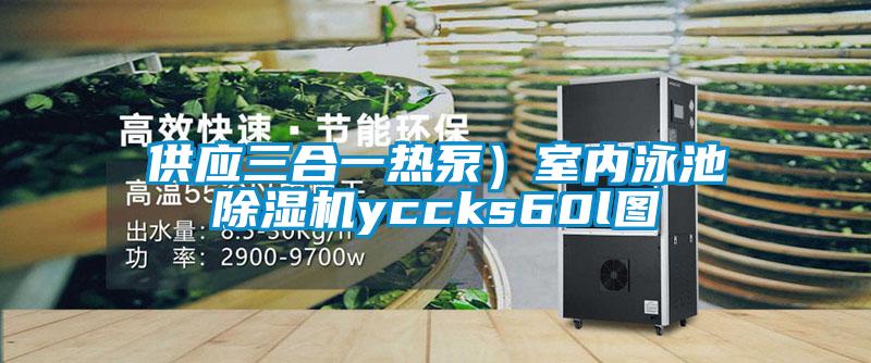 供應(yīng)三合一熱泵)室內(nèi)泳池除濕機yccks60l圖