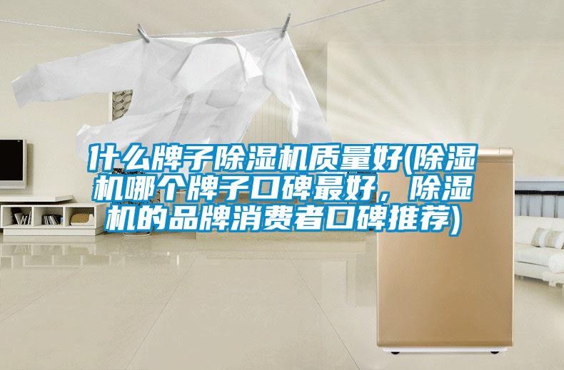 什么牌子除濕機質(zhì)量好(除濕機哪個牌子口碑最好，除濕機的品牌消費者口碑推薦)