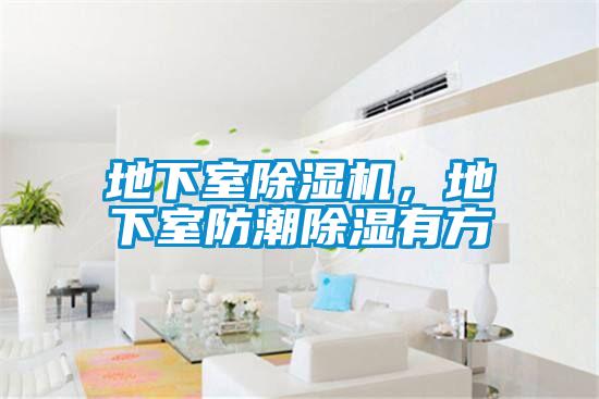 地下室除濕機,地下室防潮除濕有方