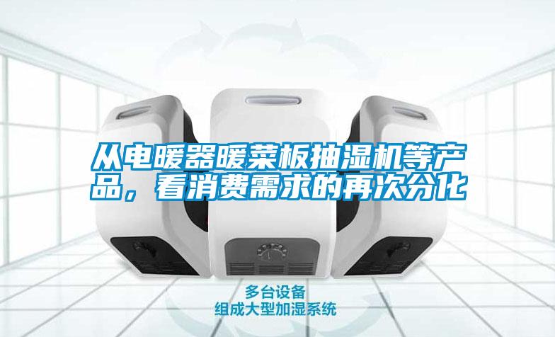 從電暖器暖菜板抽濕機(jī)等產(chǎn)品，看消費(fèi)需求的再次分化