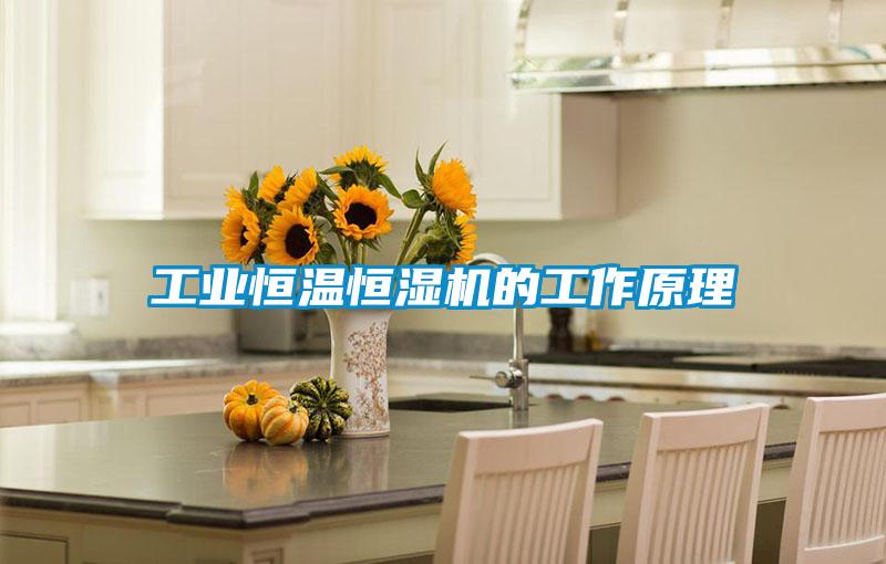 工業恒溫恒濕機的工作原理