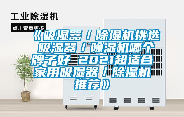 《吸濕器／除濕機(jī)挑選 吸濕器／除濕機(jī)哪個牌子好 2021超適合家用吸濕器／除濕機(jī)推薦》