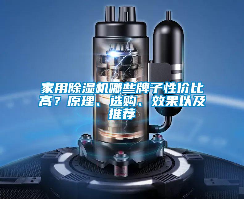 家用除濕機(jī)哪些牌子性價(jià)比高？原理、選購(gòu)、效果以及推薦