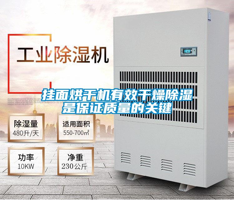 掛面烘干機有效干燥除濕是保證質(zhì)量的關鍵