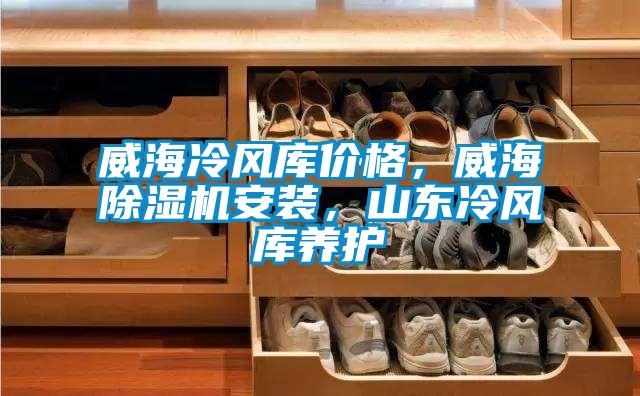 威海冷風(fēng)庫價(jià)格，威海除濕機(jī)安裝，山東冷風(fēng)庫養(yǎng)護(hù)