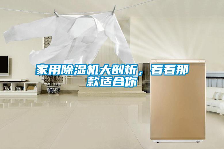 家用除濕機(jī)大剖析,看看那款適合你