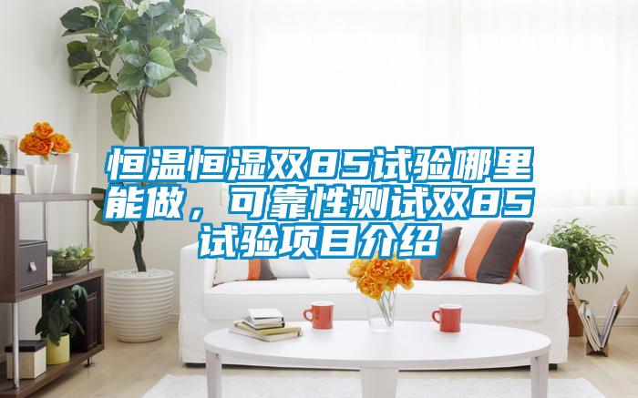 恒溫恒濕雙85試驗(yàn)?zāi)睦锬茏觯煽啃詼y試雙85試驗(yàn)項(xiàng)目介紹