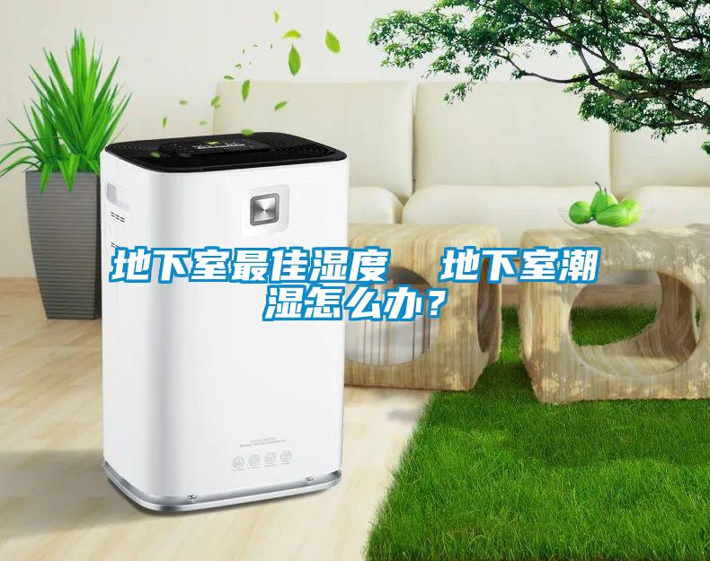 地下室最佳濕度 地下室潮濕怎么辦?