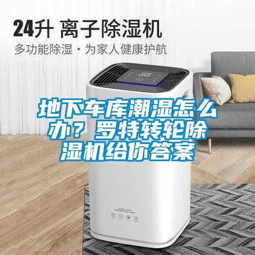 地下車庫潮濕怎么辦?羅特轉輪除濕機給你答案
