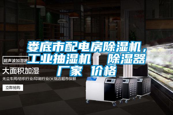 婁底市配電房除濕機，工業(yè)抽濕機  除濕器廠家 價格