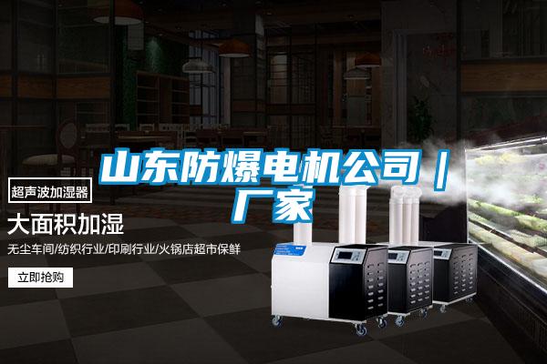 山東防爆電機(jī)公司｜廠(chǎng)家