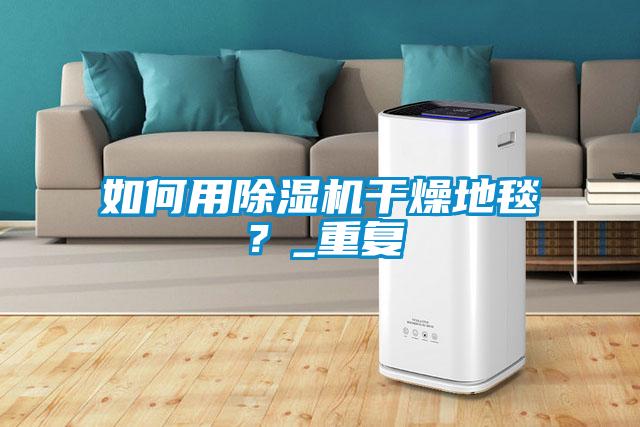 如何用除濕機干燥地毯?_重復(fù)