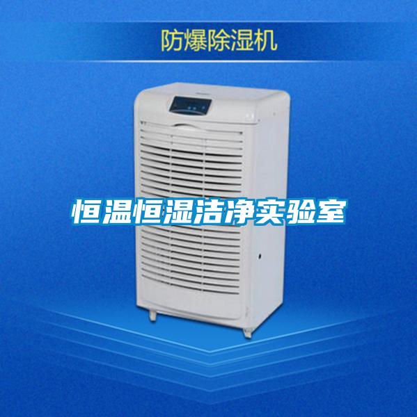 恒溫恒濕潔凈實(shí)驗(yàn)室