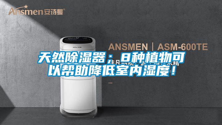 天然除濕器；8種植物可以幫助降低室內濕度！