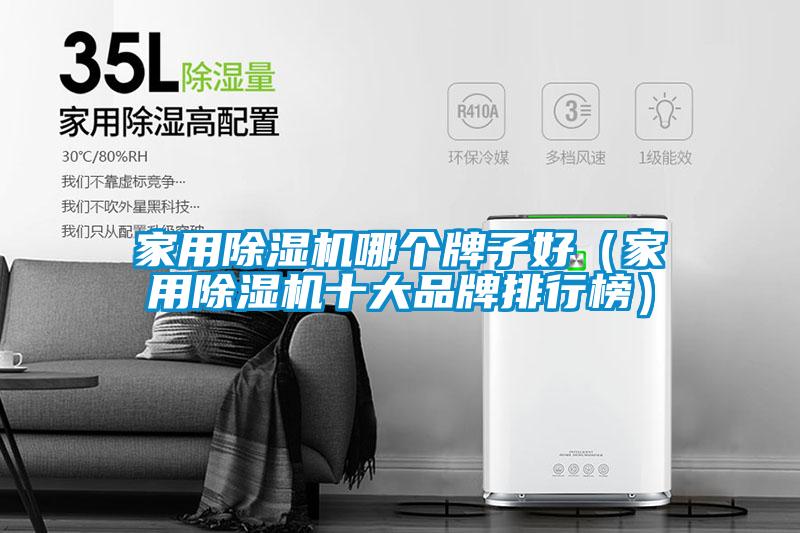 家用除濕機(jī)哪個牌子好（家用除濕機(jī)十大品牌排行榜）