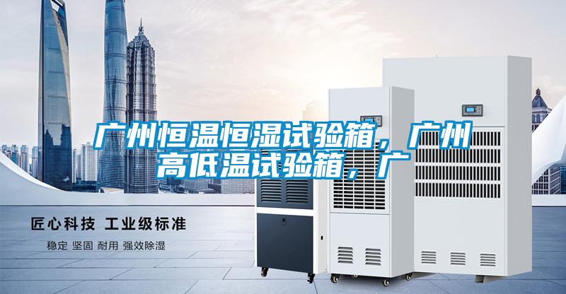廣州恒溫恒濕試驗(yàn)箱，廣州高低溫試驗(yàn)箱，廣