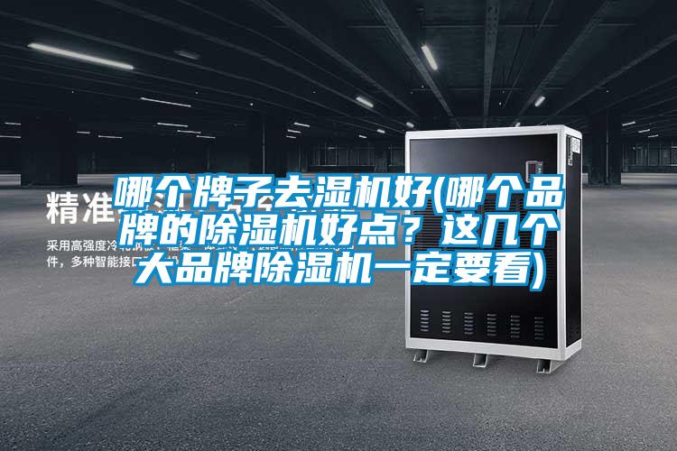 哪個(gè)牌子去濕機(jī)好(哪個(gè)品牌的除濕機(jī)好點(diǎn)？這幾個(gè)大品牌除濕機(jī)一定要看)