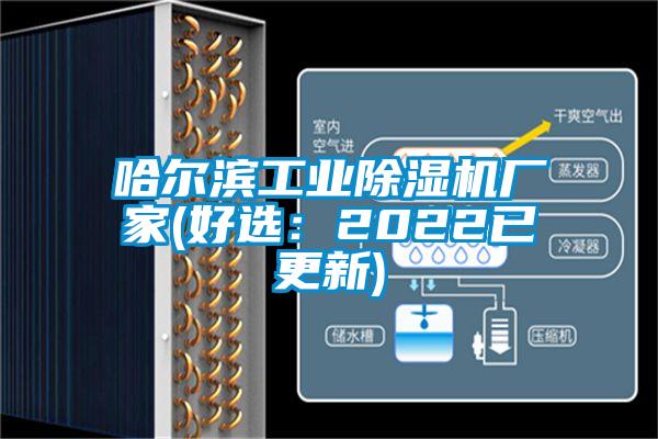 哈爾濱工業(yè)除濕機(jī)廠(chǎng)家(好選:2022已更新)