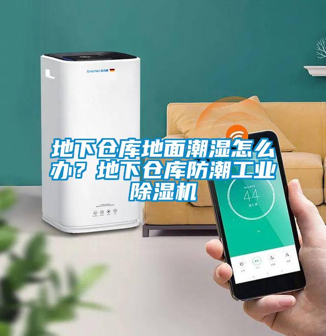 地下倉庫地面潮濕怎么辦?地下倉庫防潮工業(yè)除濕機(jī)