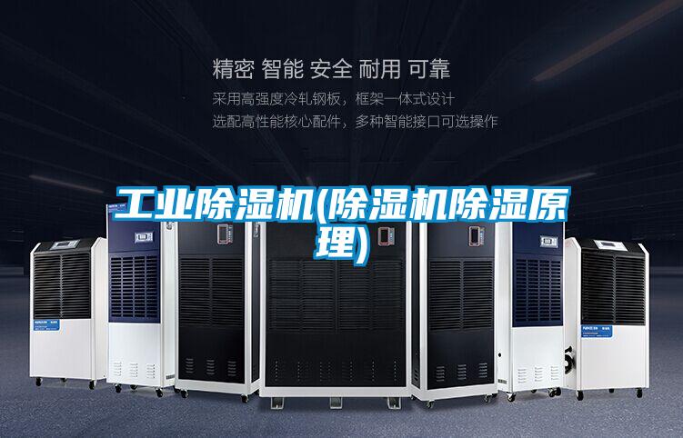 工業(yè)除濕機(除濕機除濕原理)
