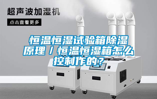 恒溫恒濕試驗箱除濕原理/恒溫恒濕箱怎么控制作的?