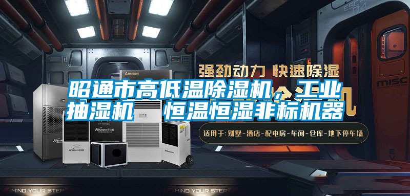 昭通市高低溫除濕機，工業抽濕機  恒溫恒濕非標機器