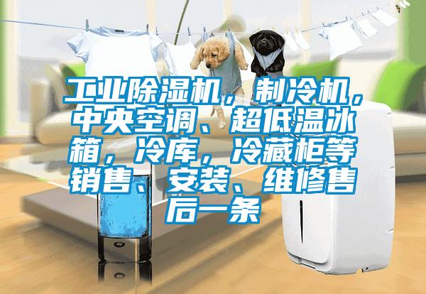 工業(yè)除濕機(jī),制冷機(jī),中央空調(diào)、超低溫冰箱,冷庫(kù),冷藏柜等銷售、安裝、維修售后一條