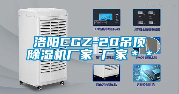 洛陽(yáng)CGZ-20吊頂除濕機(jī)廠家 廠家**