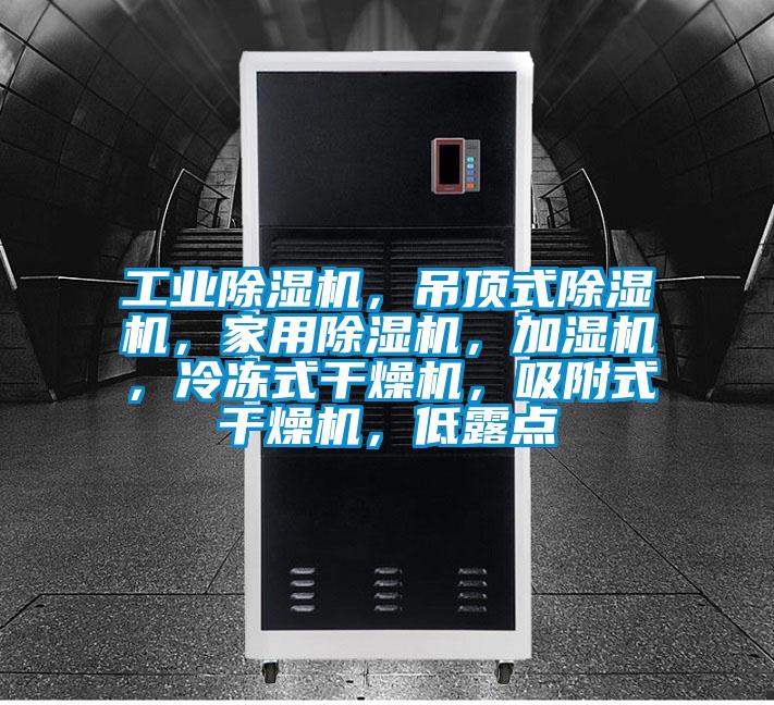 工業除濕機,吊頂式除濕機,家用除濕機,加濕機,冷凍式干燥機,吸附式干燥機,低露點