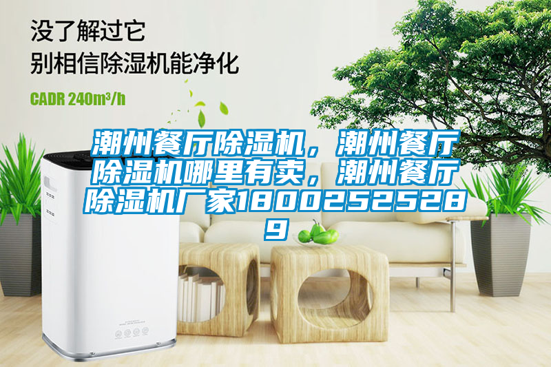 潮州餐廳除濕機(jī)，潮州餐廳除濕機(jī)哪里有賣，潮州餐廳除濕機(jī)廠家18002525289