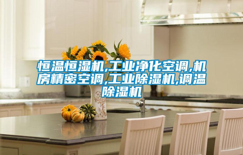 恒溫恒濕機,工業(yè)凈化空調(diào),機房精密空調(diào),工業(yè)除濕機,調(diào)溫除濕機
