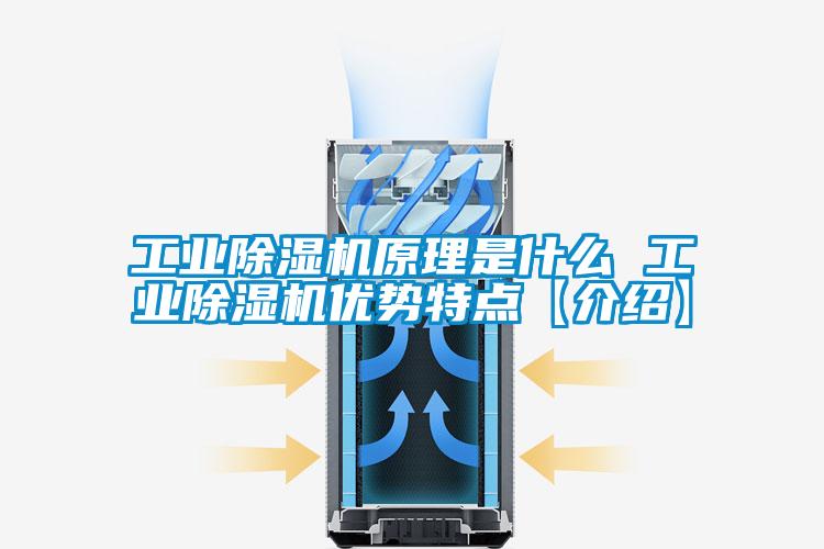 工業(yè)除濕機(jī)原理是什么 工業(yè)除濕機(jī)優(yōu)勢(shì)特點(diǎn)【介紹】