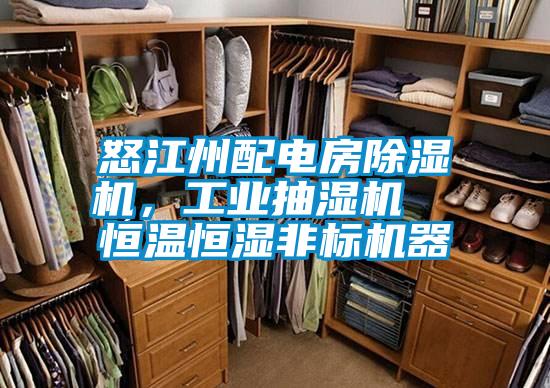 怒江州配電房除濕機(jī)，工業(yè)抽濕機(jī)  恒溫恒濕非標(biāo)機(jī)器