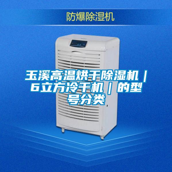 玉溪高溫烘干除濕機(jī)｜6立方冷干機(jī)｜的型號(hào)分類(lèi)