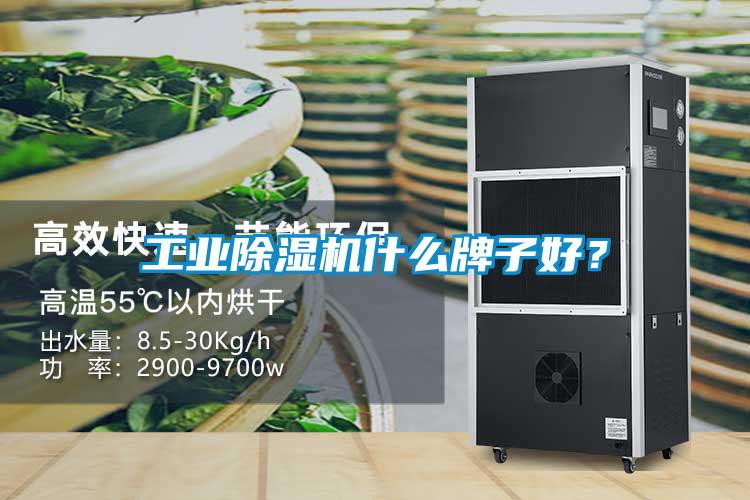 工業(yè)除濕機(jī)什么牌子好？