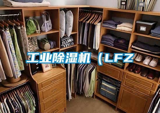 工業除濕機(LFZ