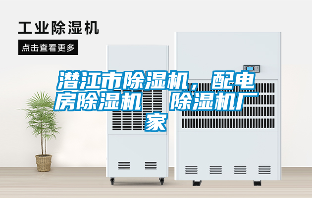 潛江市除濕機(jī)，配電房除濕機(jī)  除濕機(jī)廠家