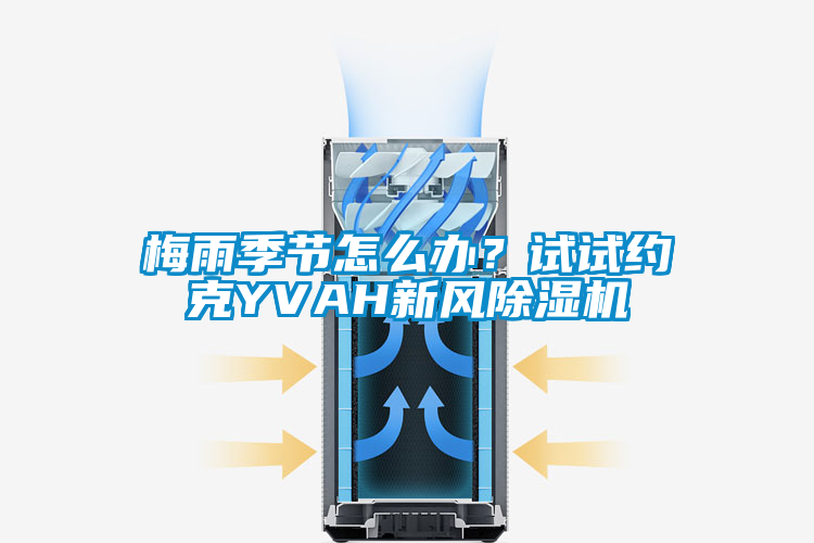 梅雨季節怎么辦？試試約克YVAH新風除濕機