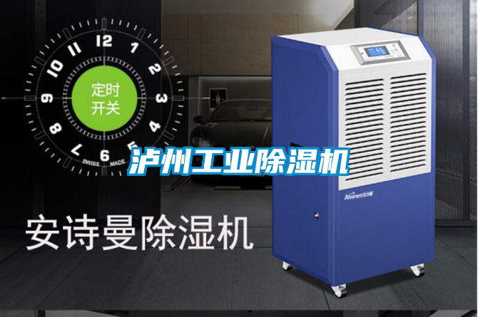 瀘州工業除濕機