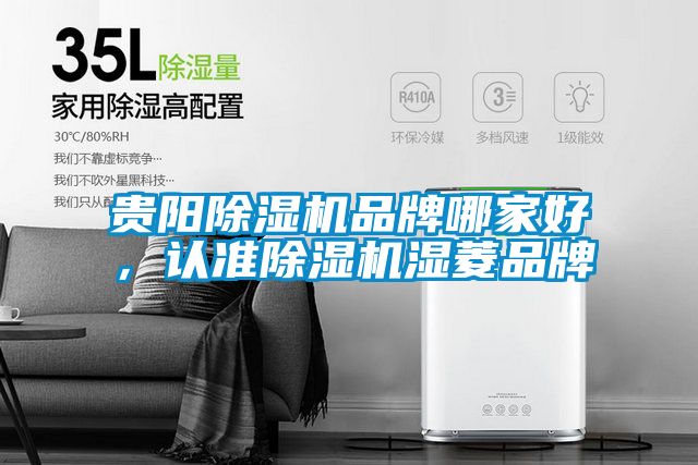 貴陽除濕機品牌哪家好，認準(zhǔn)除濕機濕菱品牌