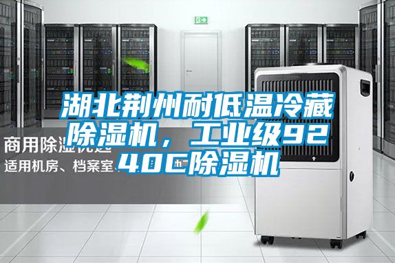 湖北荊州耐低溫冷藏除濕機,工業(yè)級9240C除濕機